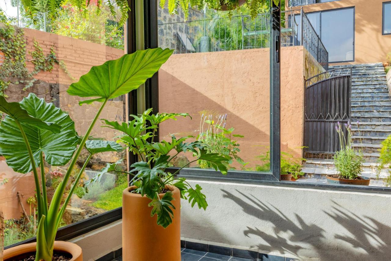 Casa Lavanda Hotel Boutique 파츠쿠아로 외부 사진